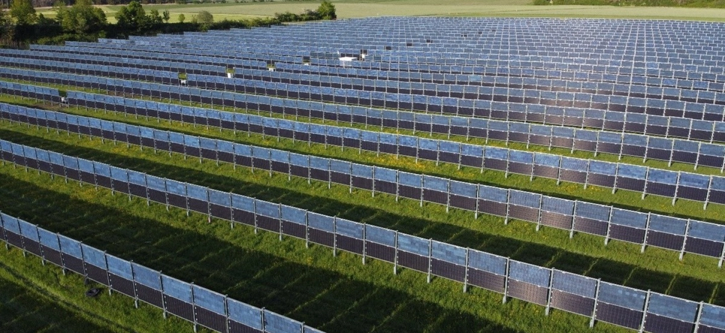 Eine landwirtschaftliche Wiese mit vielen Solarzäunen bei Sonnenlicht.