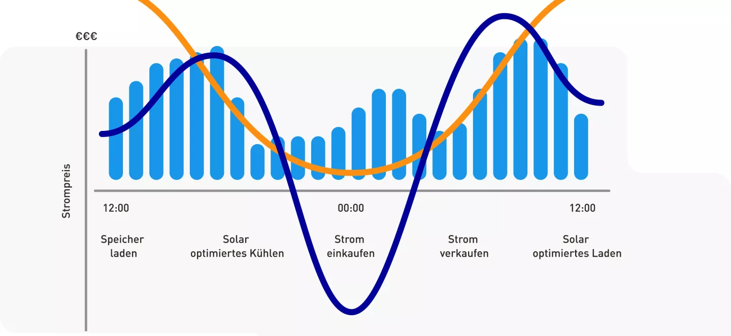 SENEC.Cloud pro Infografik