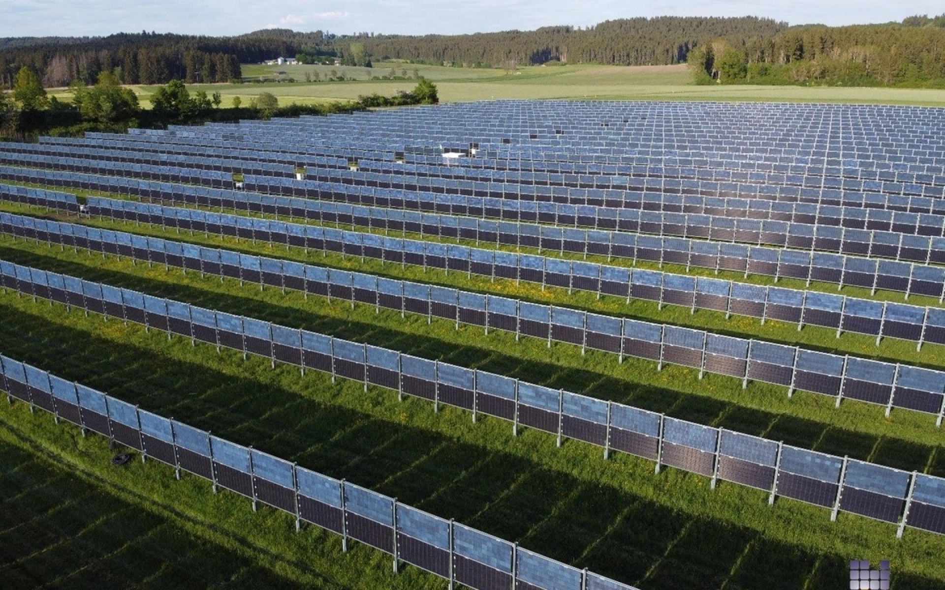 Eine landwirtschaftliche Wiese mit vielen Solarzäunen bei Sonnenlicht.