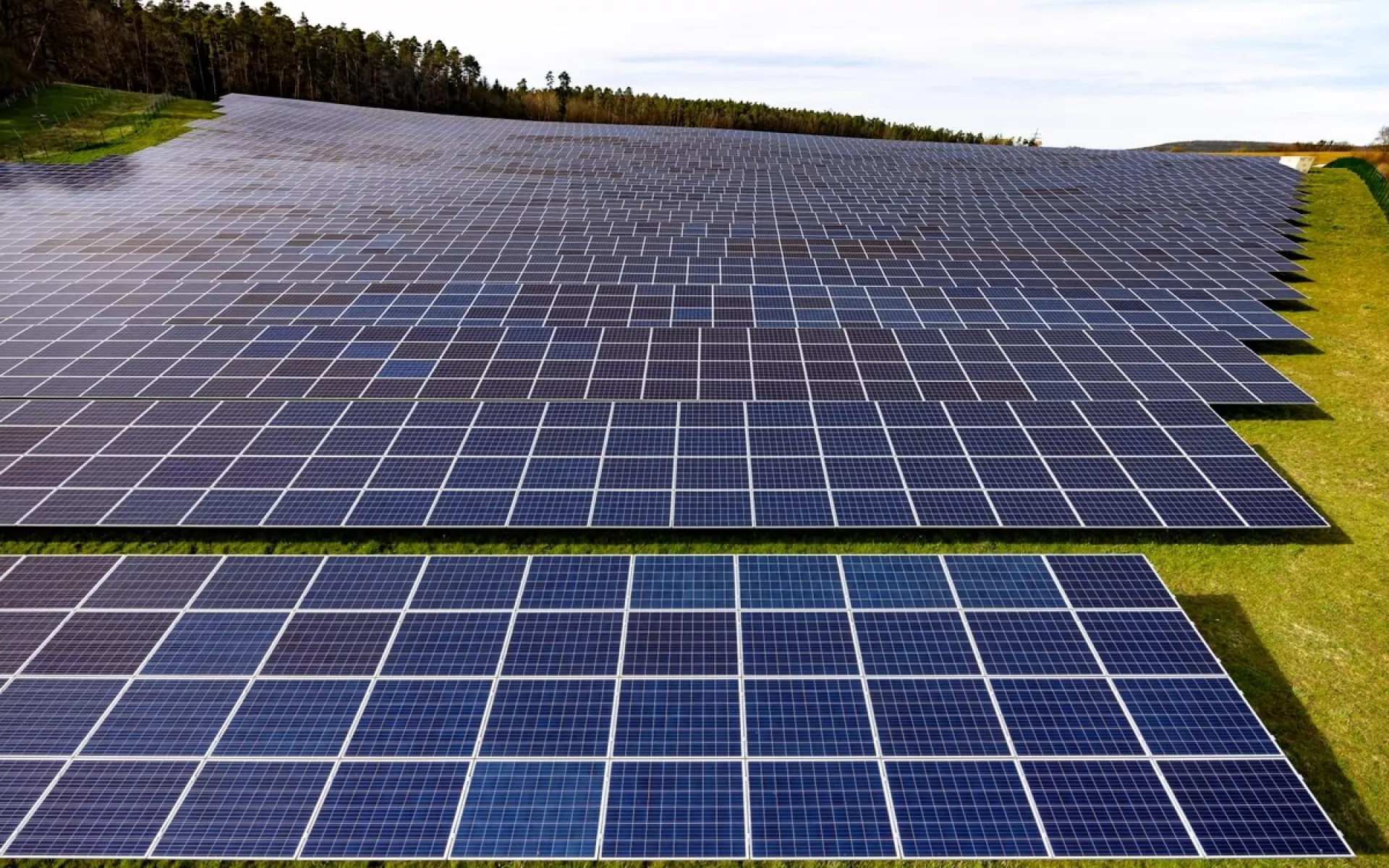 Eine große PV-Anlage auf einem Feld. Im Hintergrund ist Wald zu sehen.