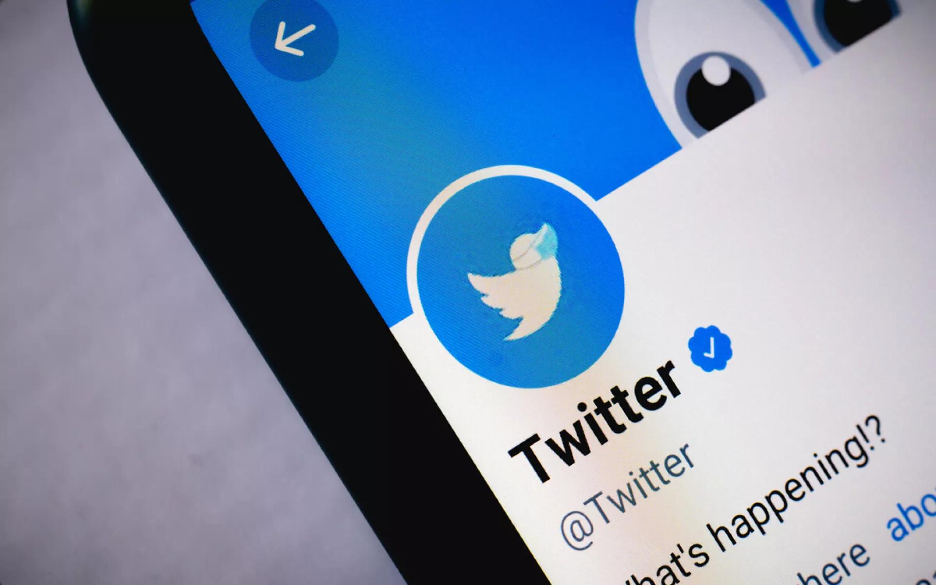 Ein Smartphone mit geöffnetem Twitter-Account.