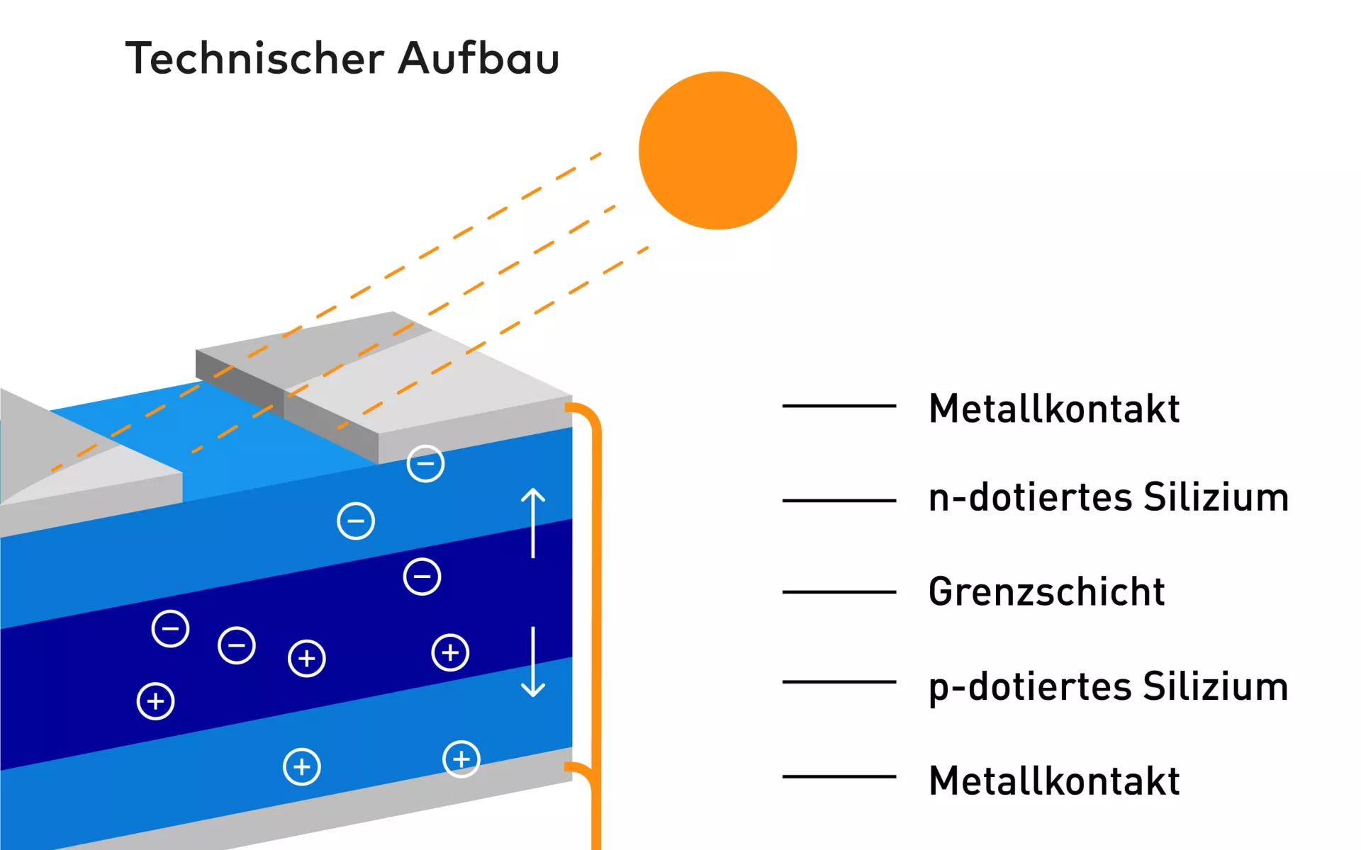 Die Grafik zeigt, wie eine Solarzelle funktioniert und was in der Zelle passiert.