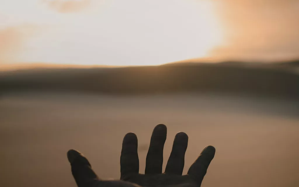 Hand stretched to the sun
