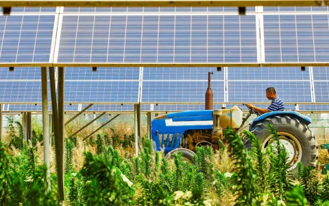 Fotovoltaico per aziende agricole