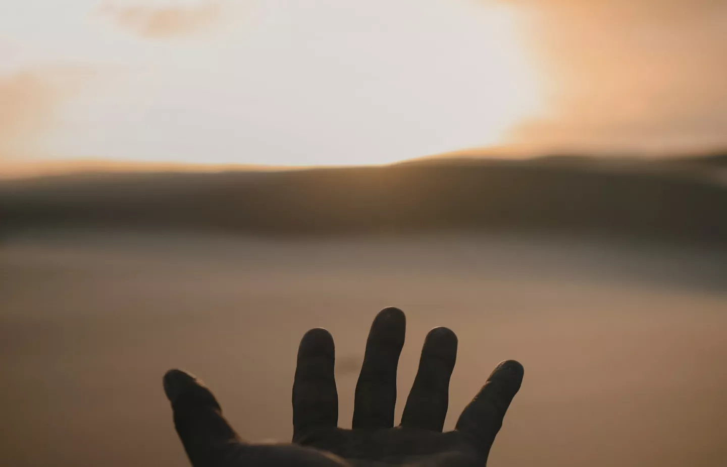 Hand stretched to the sun