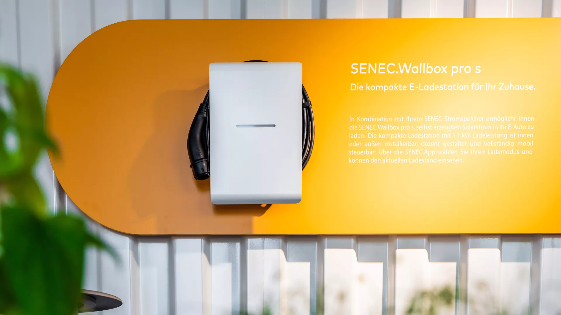 SENEC.Wallbox auf Messestand Travelling Kit