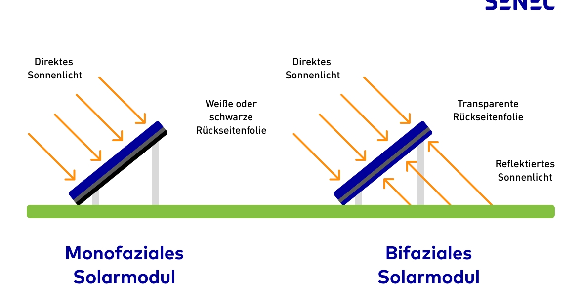 Bifaziale Module Ist doppelseitige PV das Zukunftsthema?