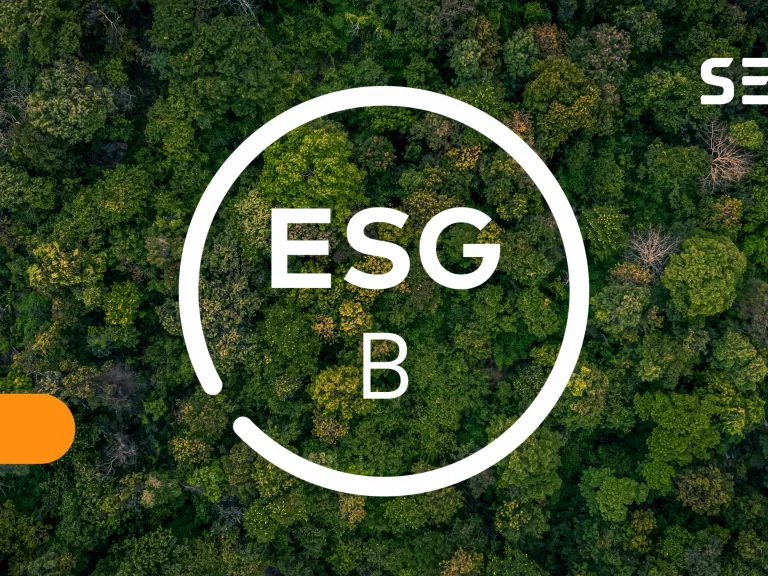 Certificato ESG