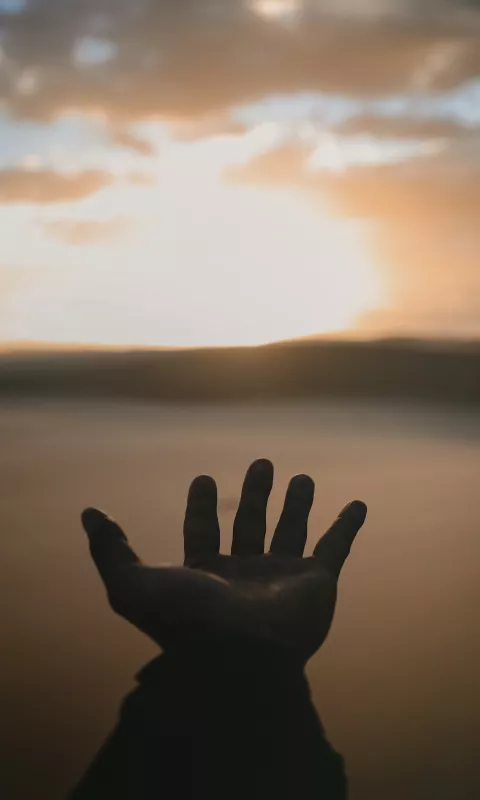 Hand stretched to the sun