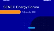 SENEC.Solar hero