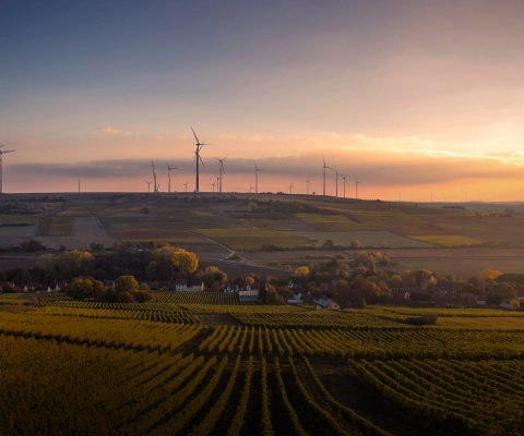rheinland-pfalz